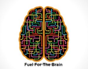 fuelforthebrain